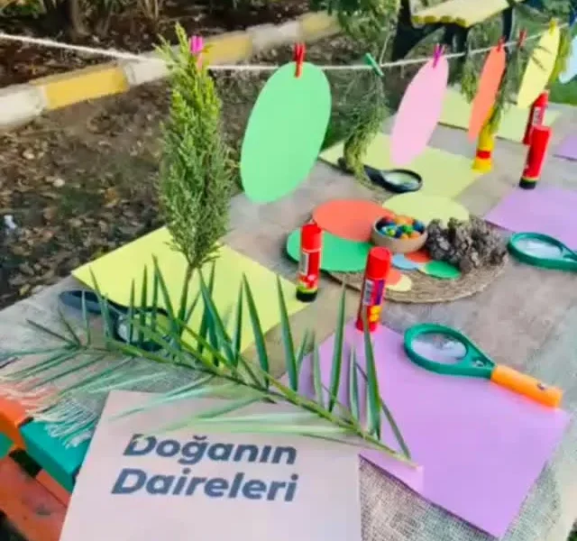 Anaokulunda doğa materyalleriyle hazırlanan inceleme masası